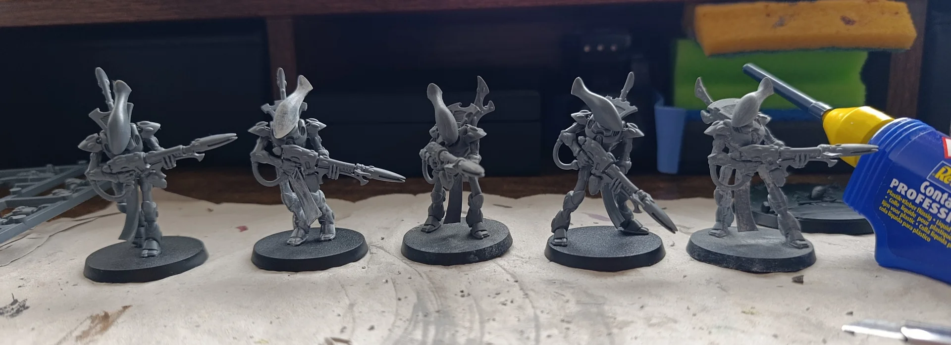 1000008188.webp