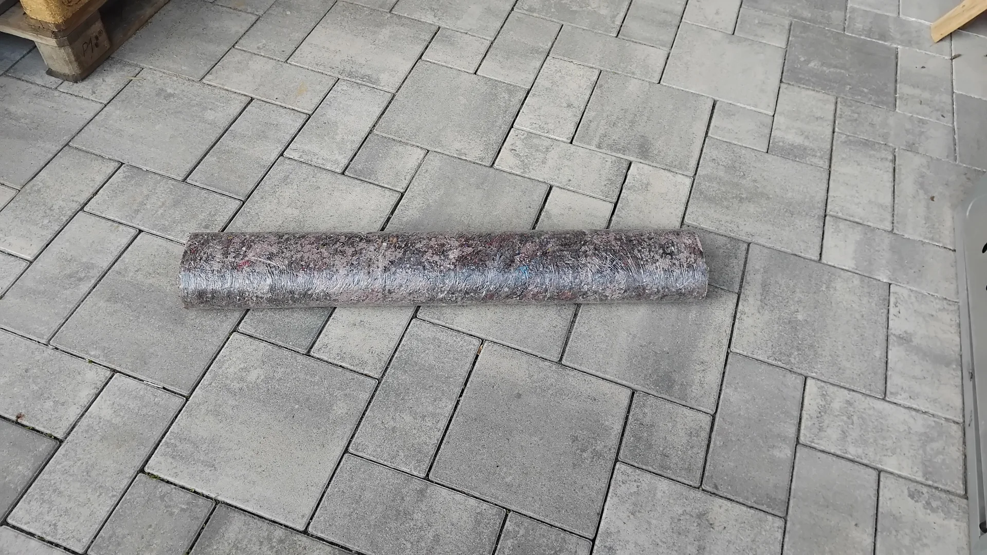 1000079408.webp