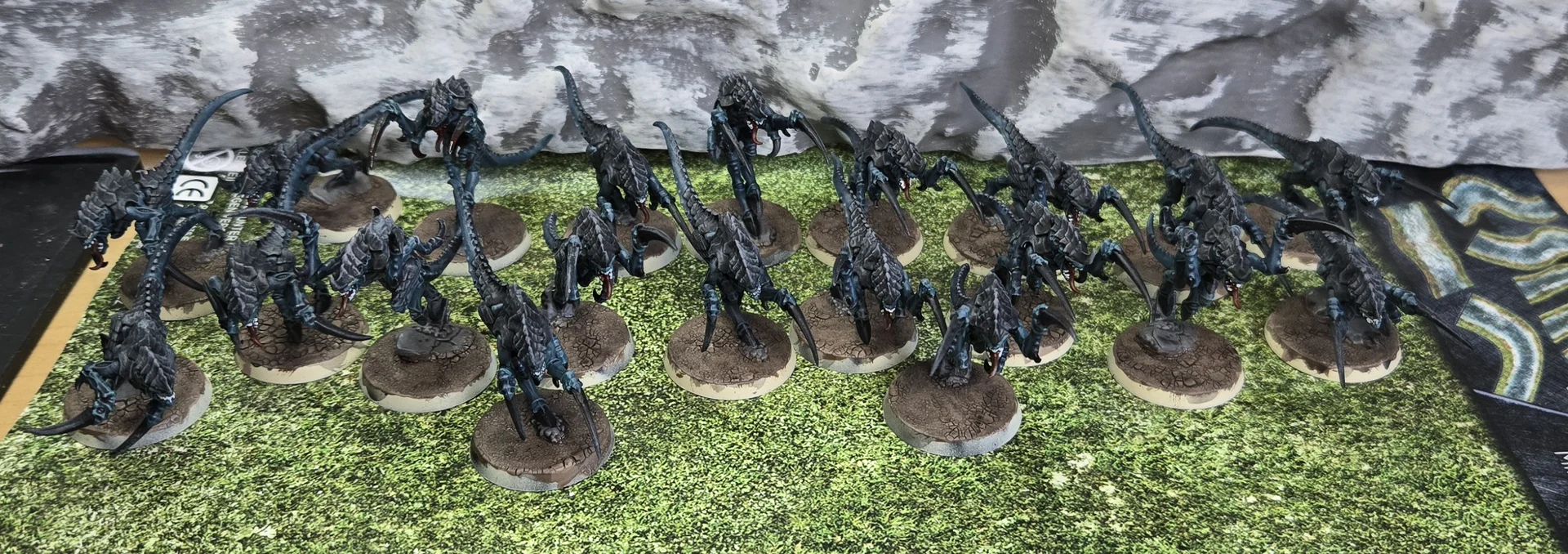 1000173385.webp