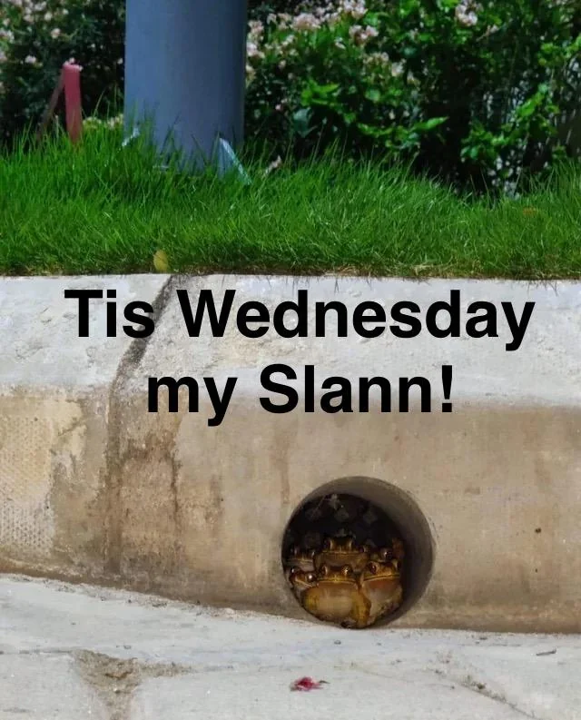 1756364819788.webp
