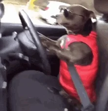 1772183649953.webp