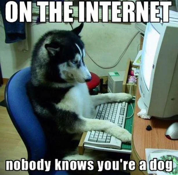 1772469074261684.webp