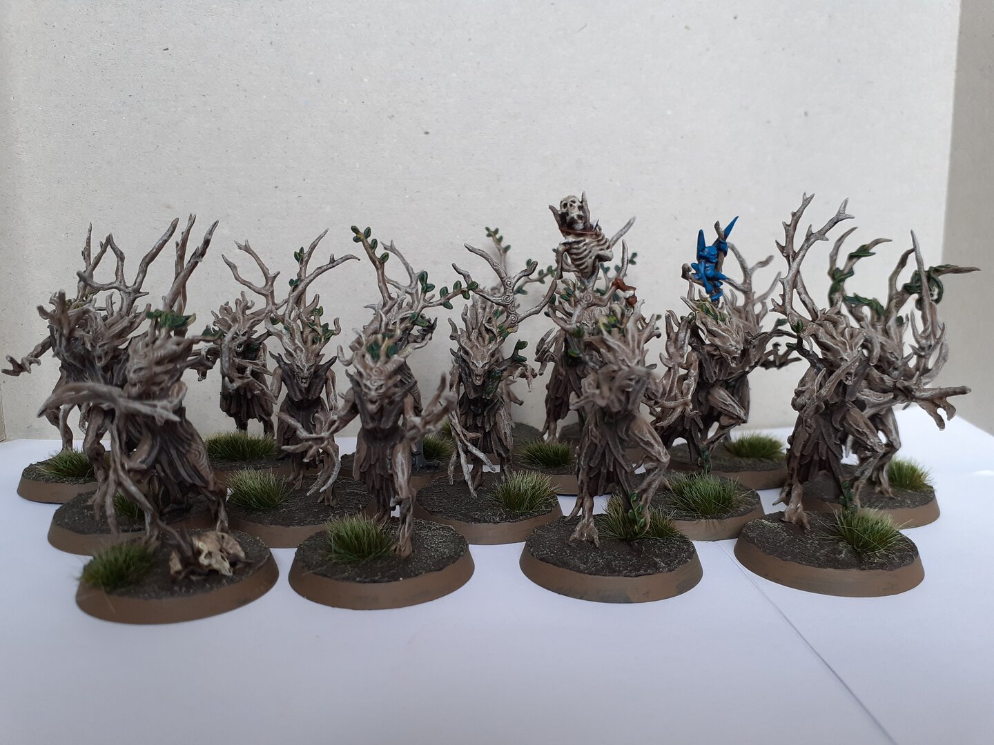 20210314_140105.jpg