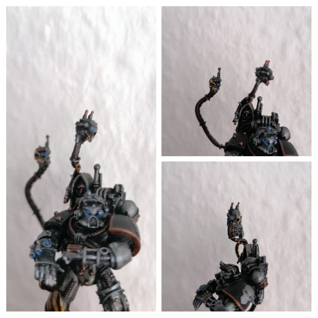 20220215_093654-COLLAGE.jpg