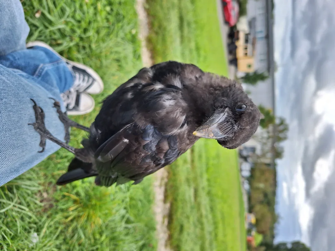 20250911_150025.webp