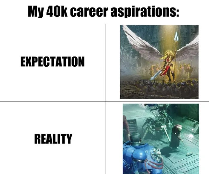 40k-career-trajectory-1725993922031.jpg