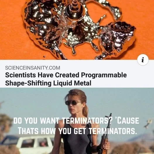536268355_1233670205456365_7696268186097945069_n.webp
