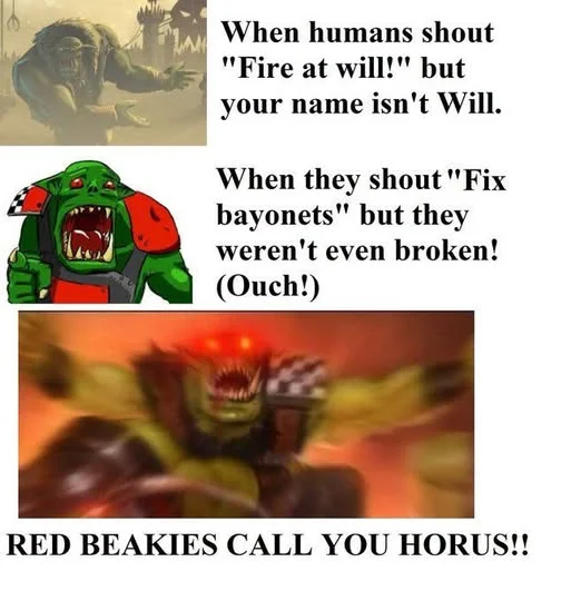625367734_10235087105611262_8346599563672925848_n.webp