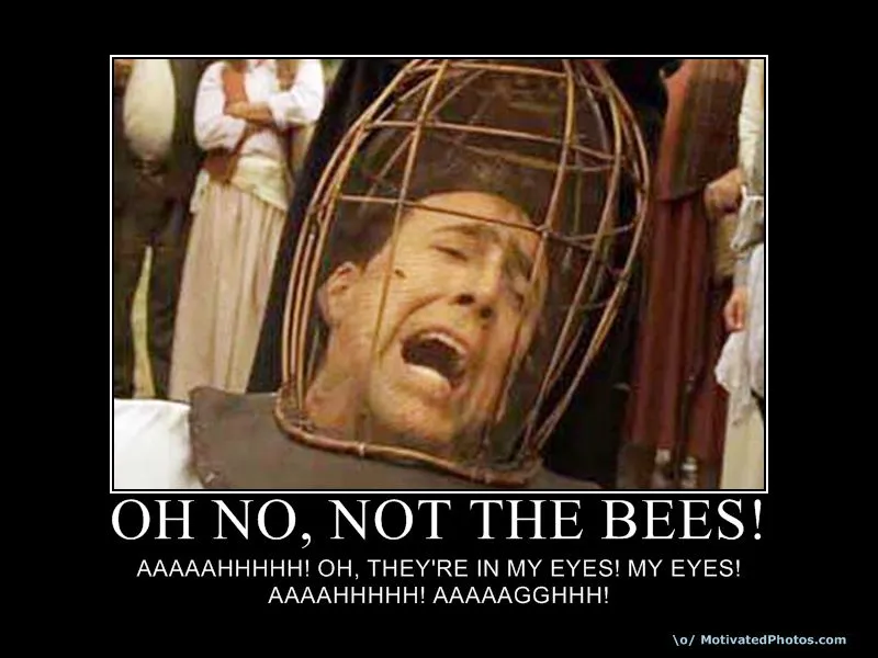 633880059549114635-ohnonotthebees.webp