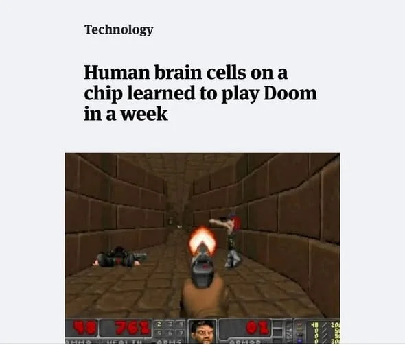 644359287_26199414643033931_2315673732644499900_n.webp