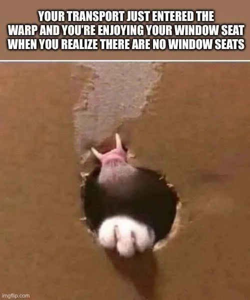 679844273_1594841511594671_8638734559514086525_n.webp