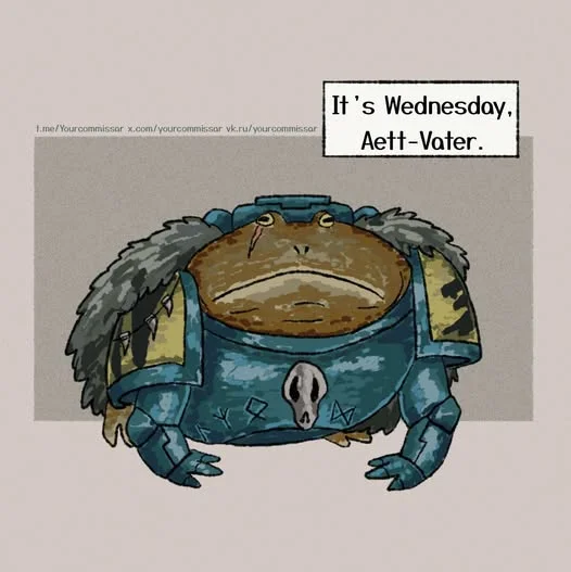 773379123_4529493647278945_2826710859157114277_n.webp