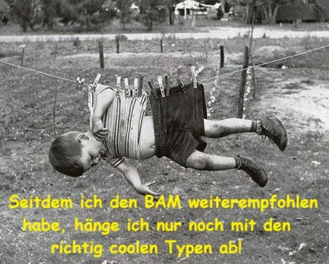 BAM Empfehlung.webp