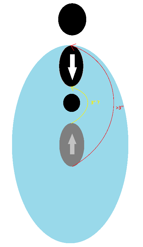 bild3.png
