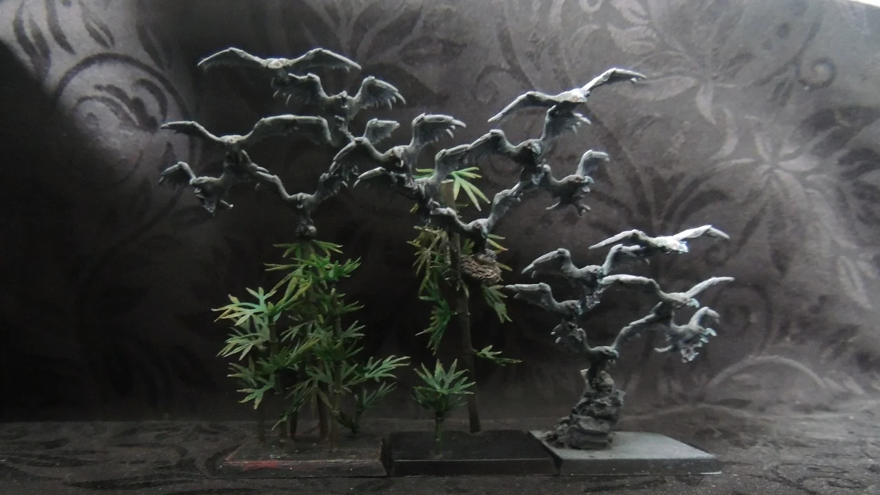 DSCN0336.webp