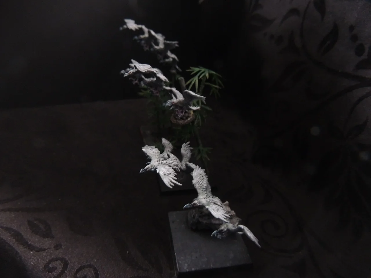 DSCN0345.webp