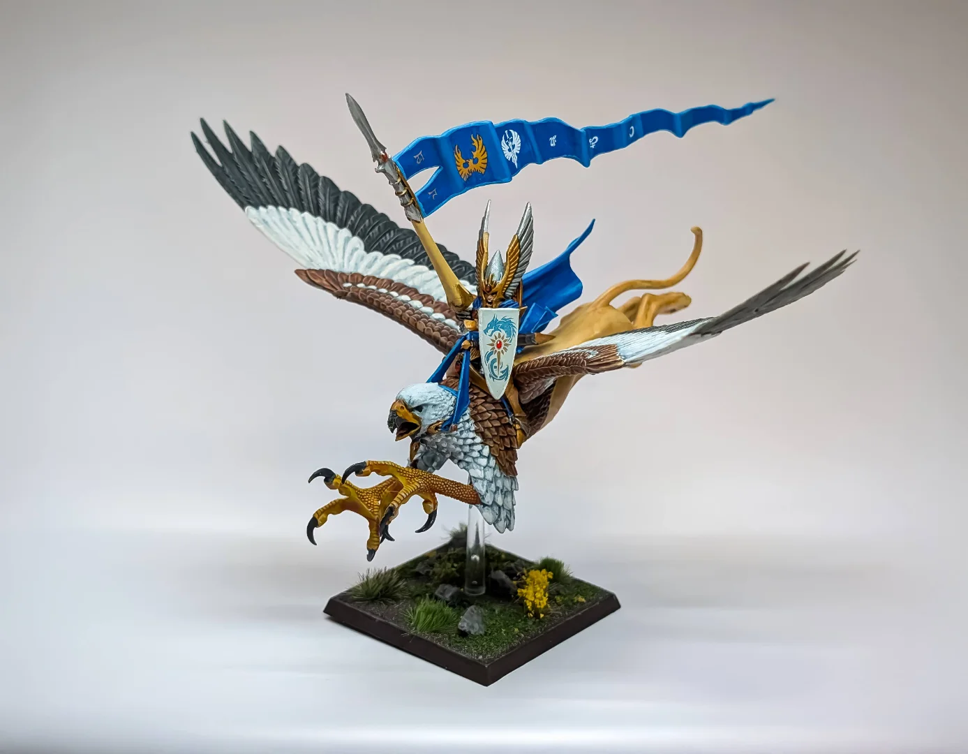 Griffon BSB.webp