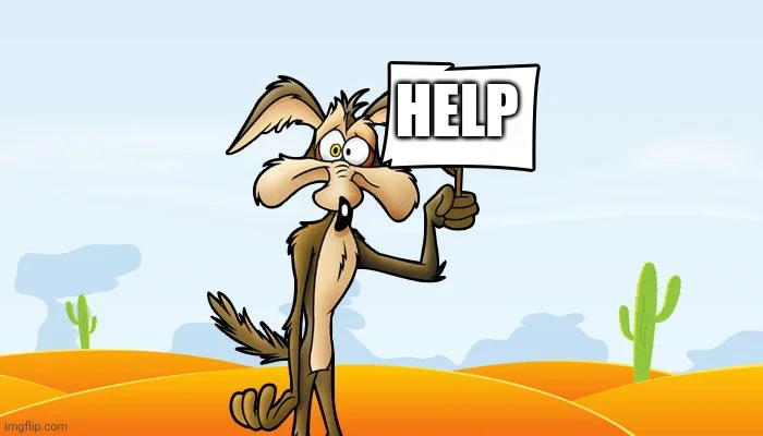 IMG-20260123-WA0005.webp