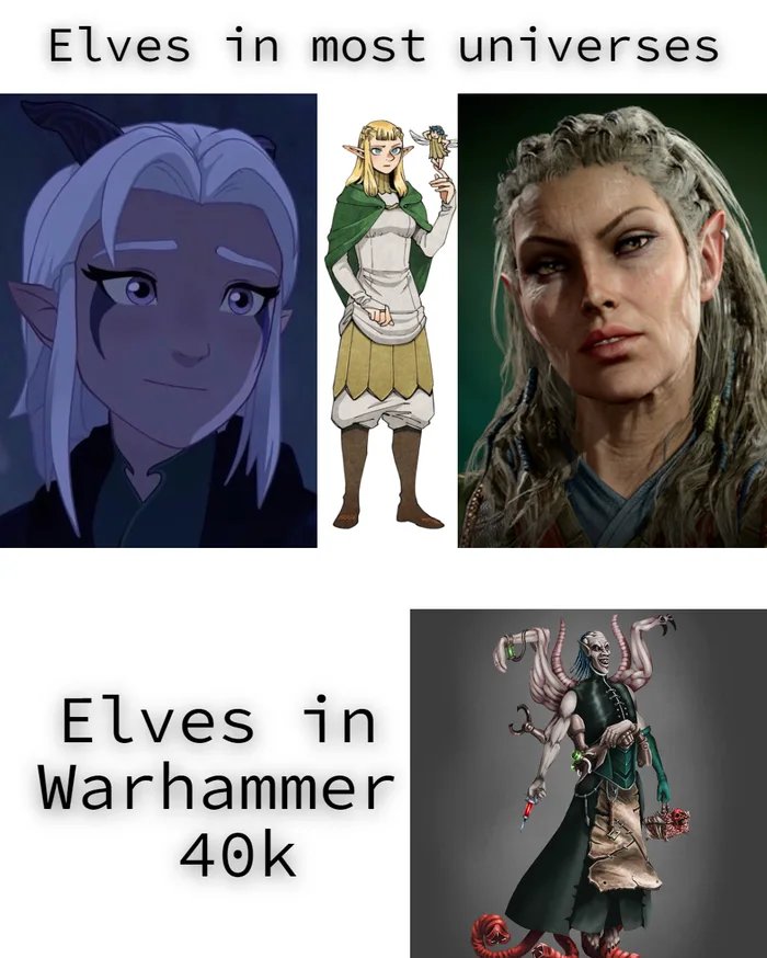 Maybe-this-is-why-we-dont-see-many-half-elves-in-40k-1726496699871.jpg