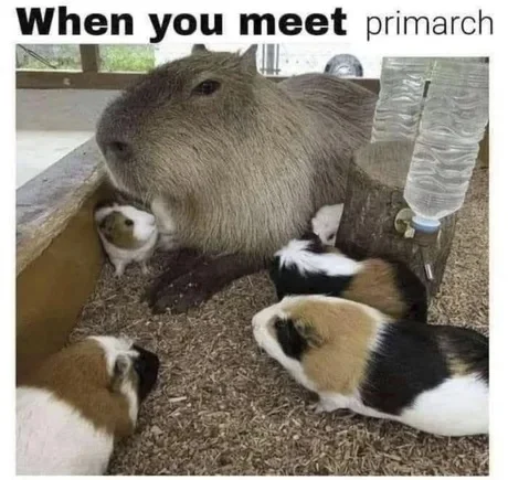 meet the primarch.webp