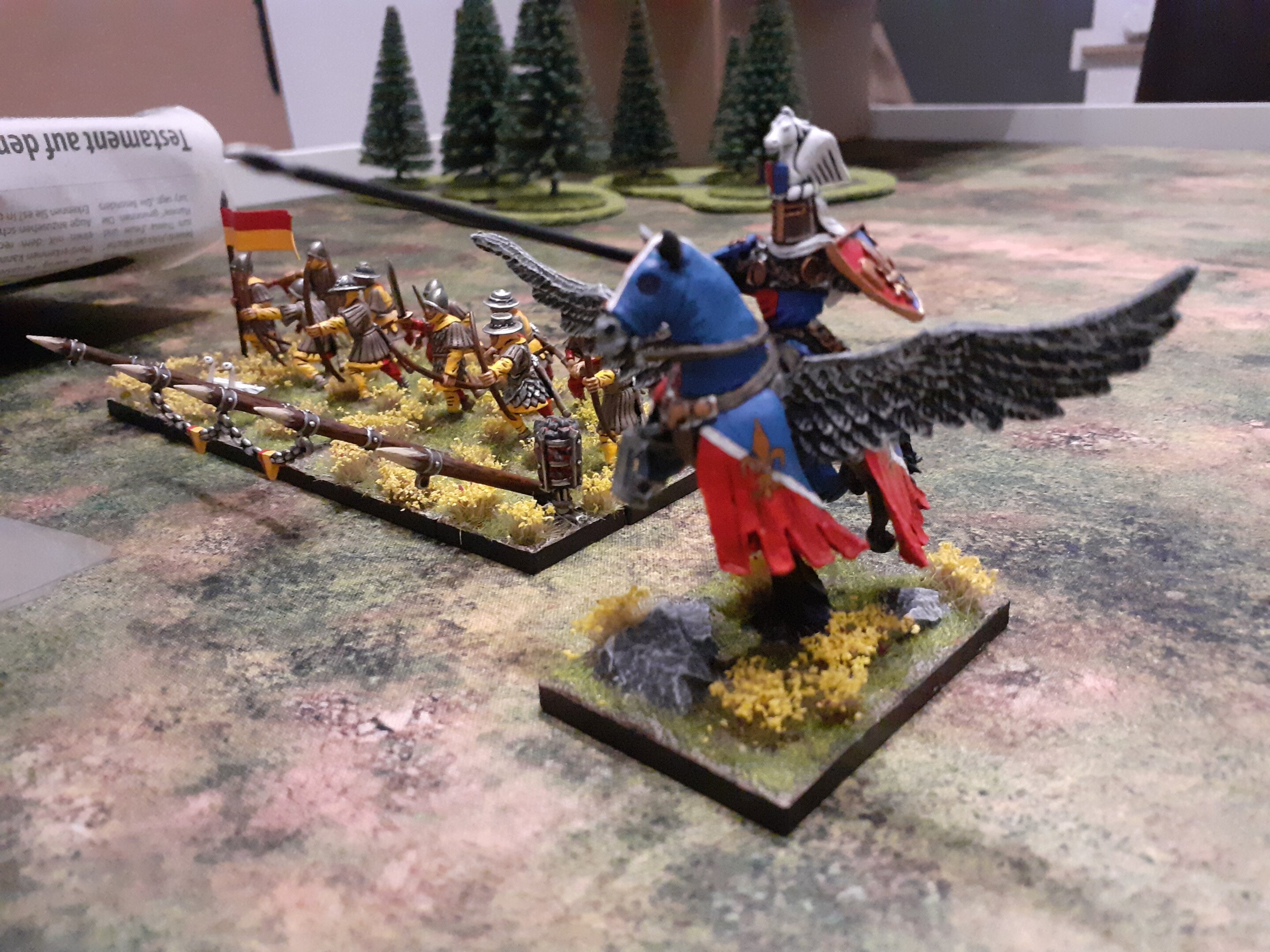 Paladin (1).jpg