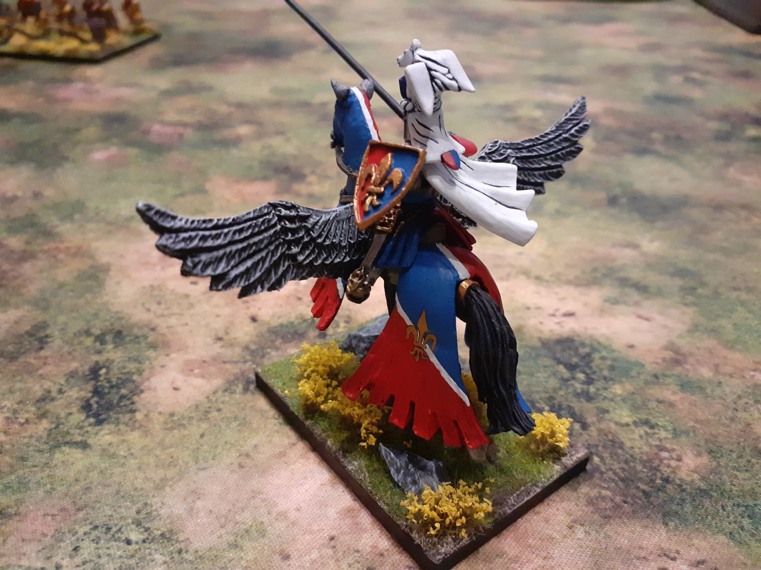 Paladin (3).jpg