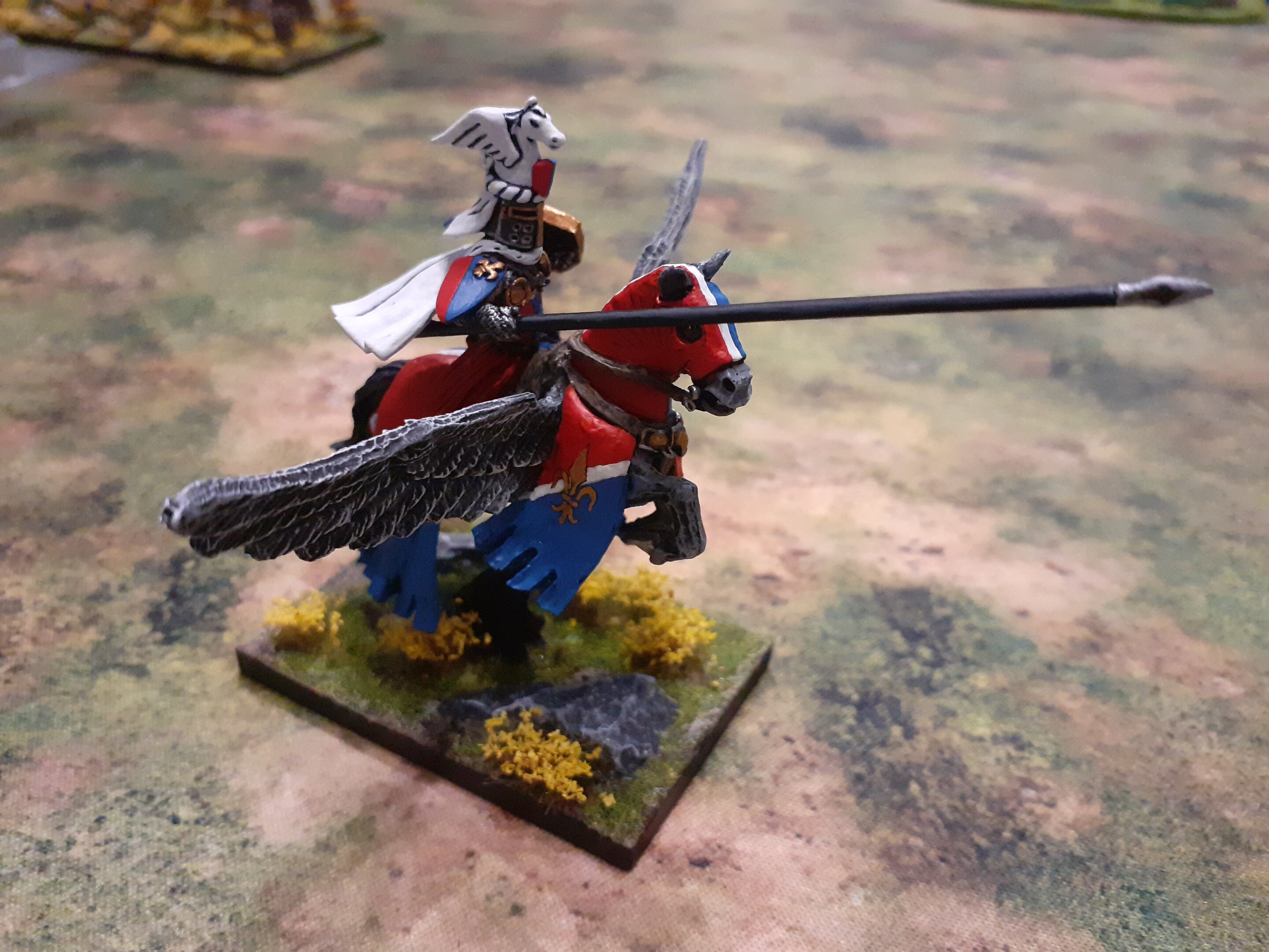 Paladin (4).jpg