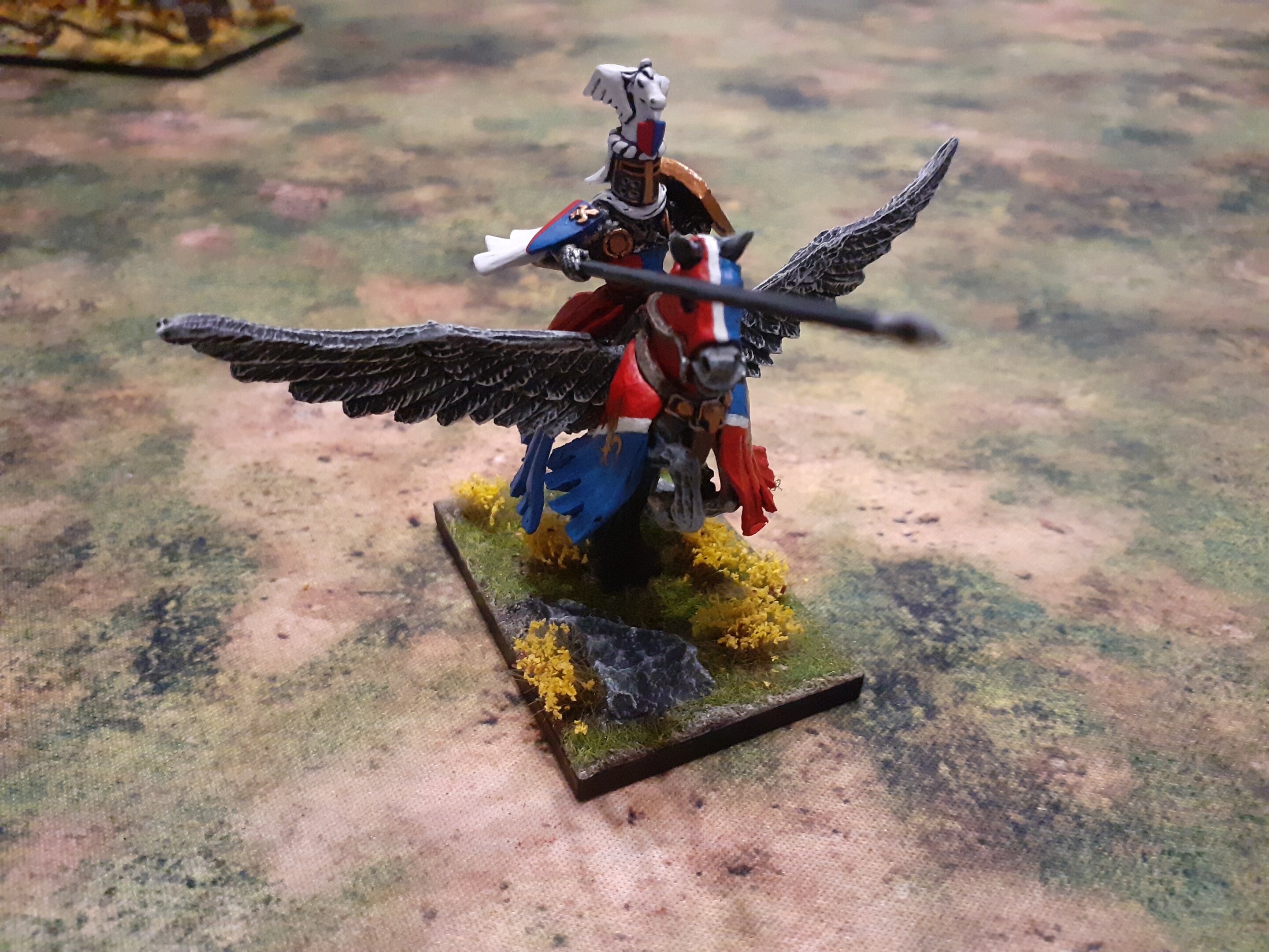 Paladin (5).jpg