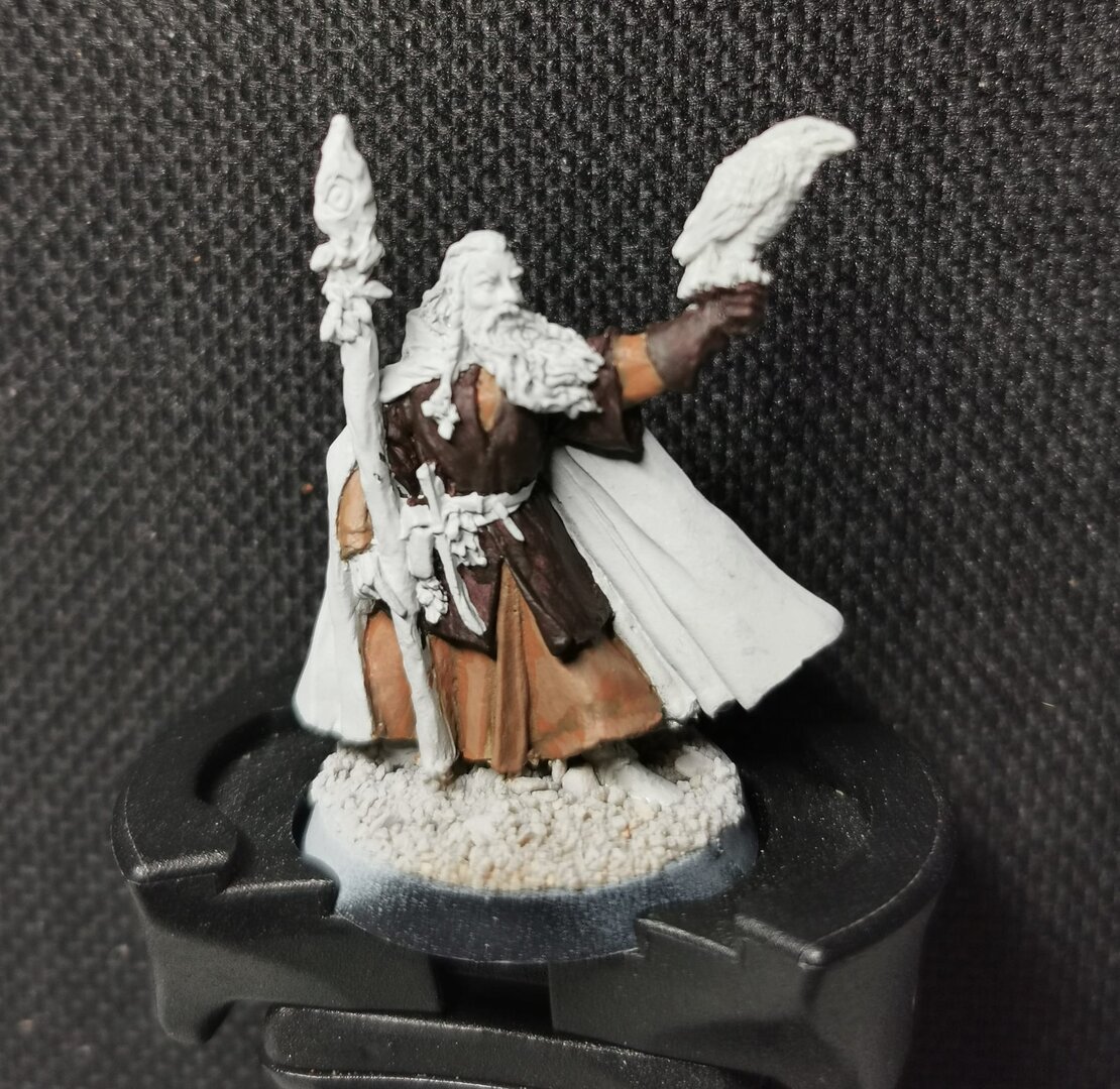 Radagast 1.jpeg