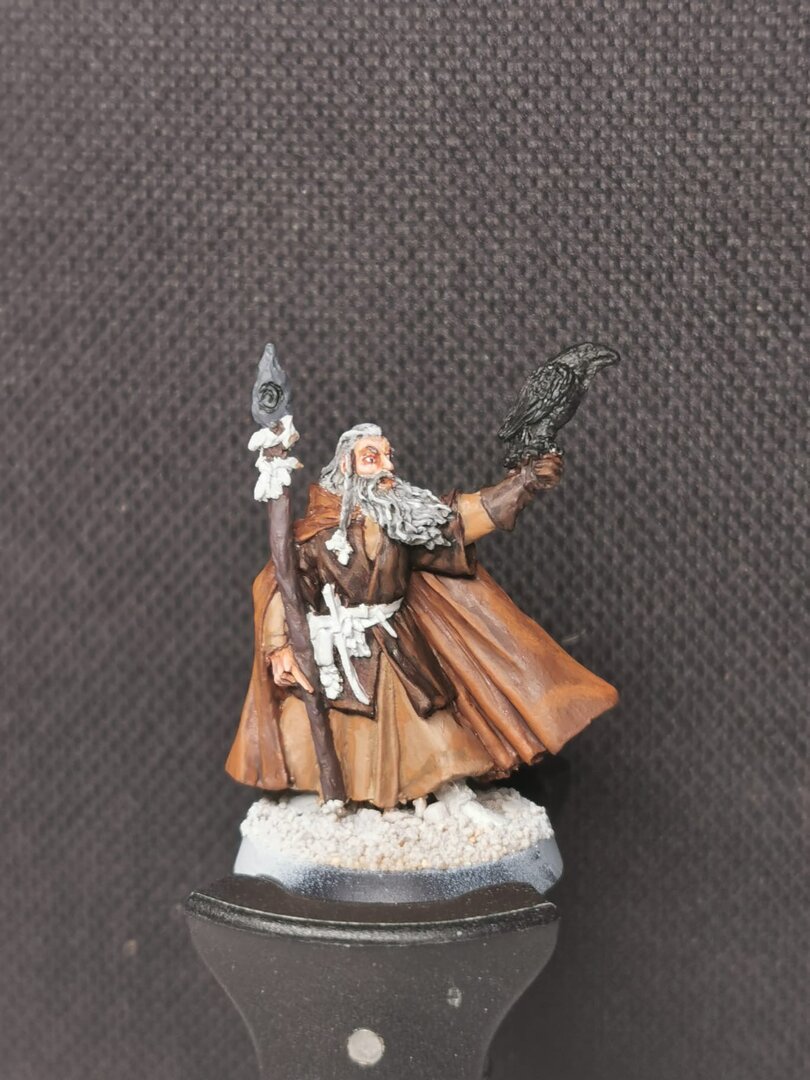 Radagast 2.jpeg