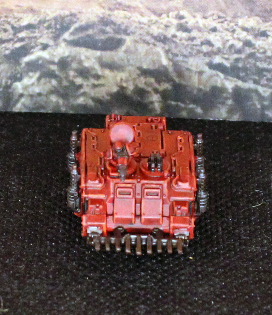 Rhino1 (1).JPG