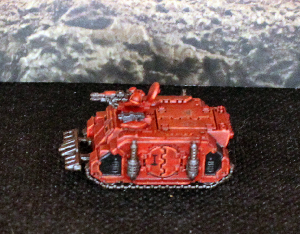 Rhino1 (2).JPG