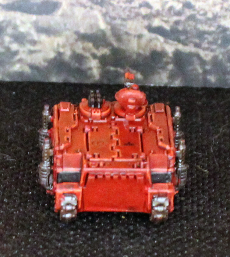 Rhino1 (3).JPG