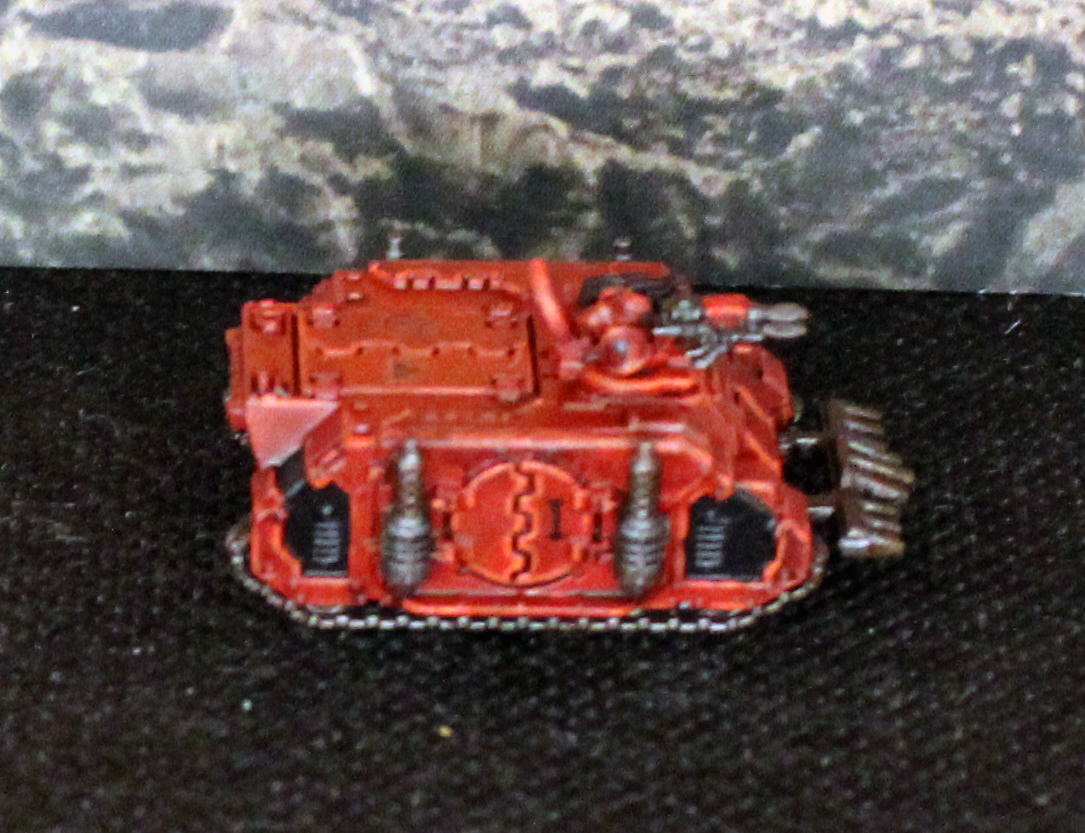 Rhino1 (4).JPG
