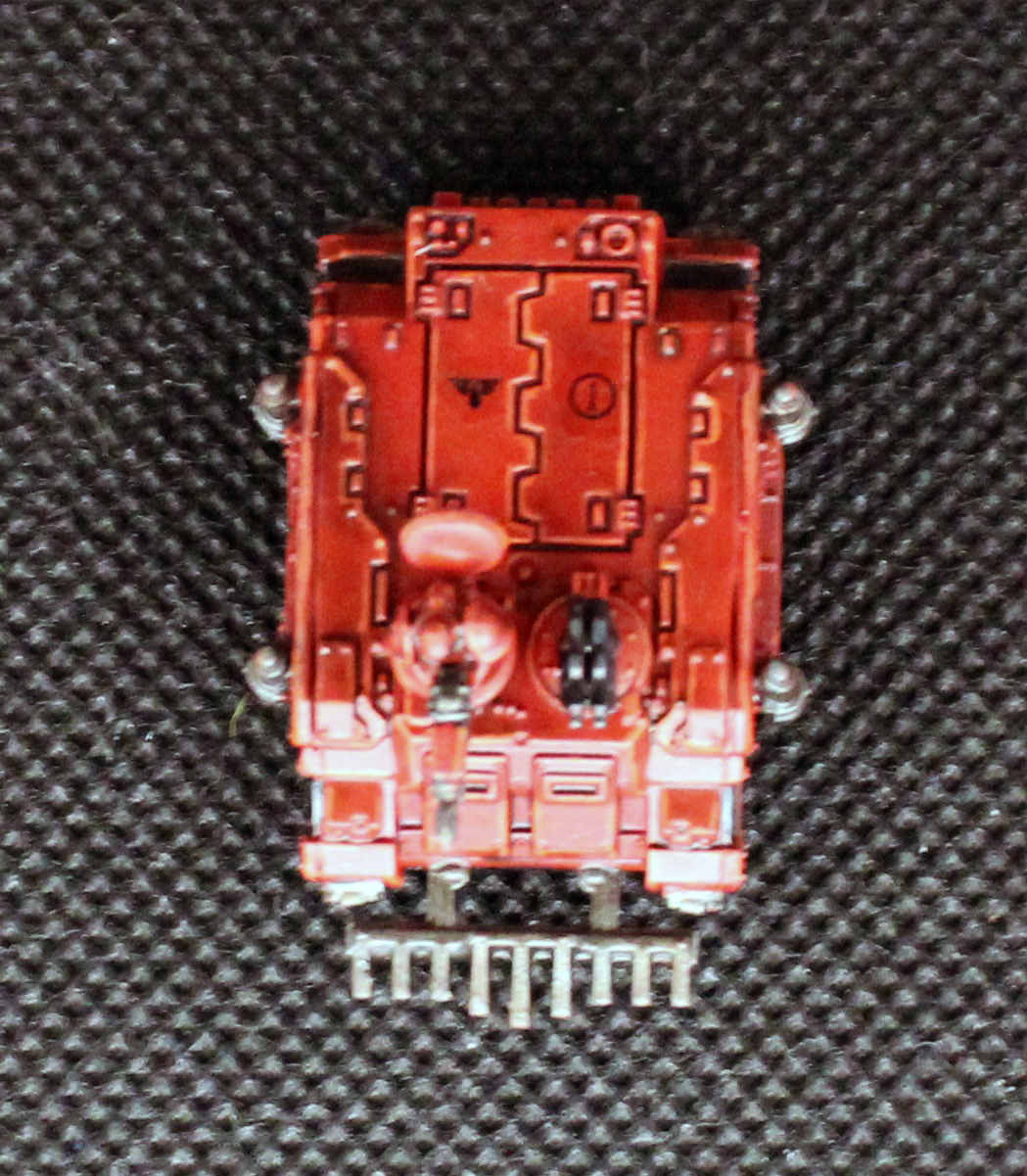 Rhino1 (5).JPG