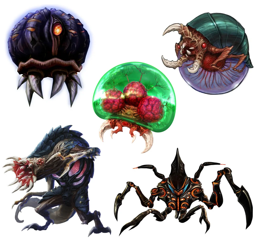 Species.webp