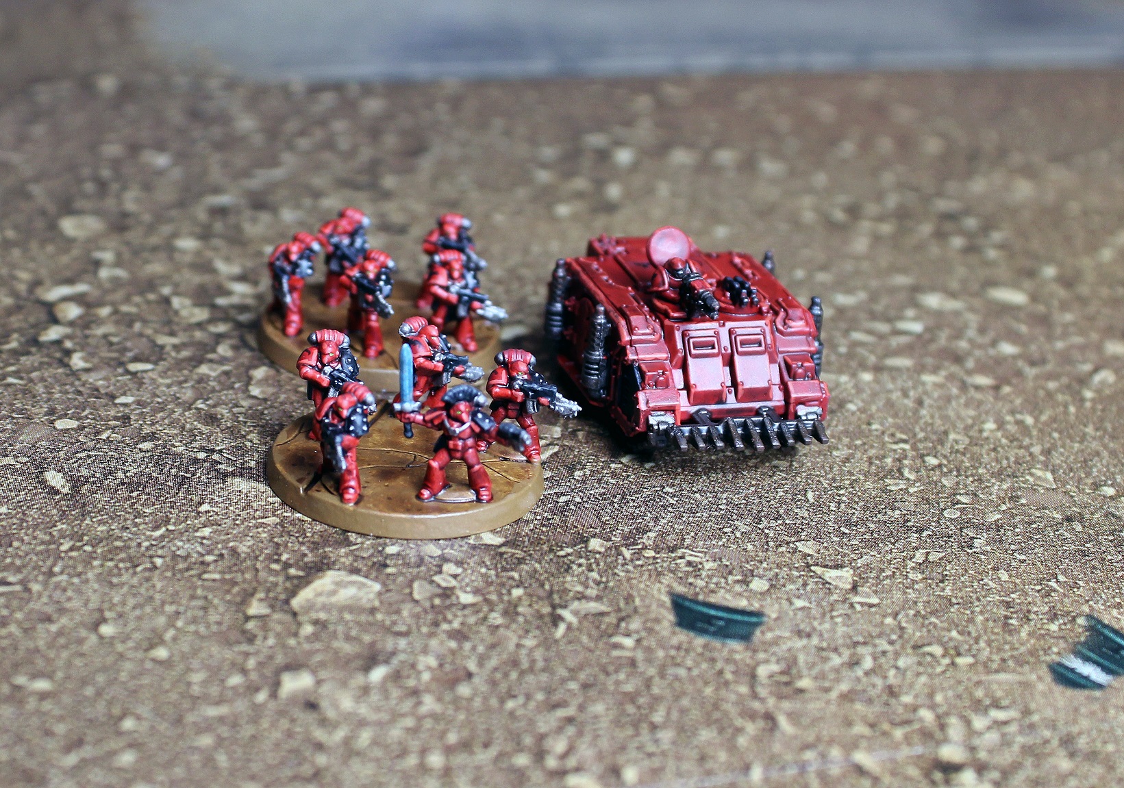 TacRhino (4).JPG