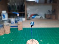 20220904_184733.jpg