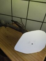 IMG_20220912_174001_1.jpg