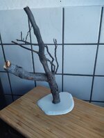 IMG_20220912_173953_1.jpg
