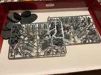 IMG_0292.jpeg