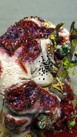 20180129_092722.jpg