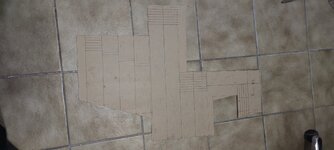 IMG_20221016_191300.jpg