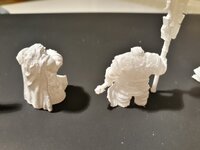 20221113_191049.jpg