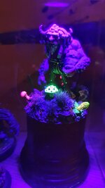 20230117_080235.jpg