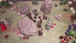 dg t1.jpg