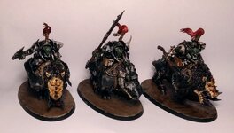 IMG_20230131_224054567~2[1].jpg