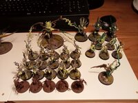 Sylvaneth1.jpg