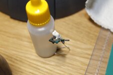 _MG_4894.jpg