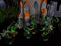 PSX_20230220_181303.jpg